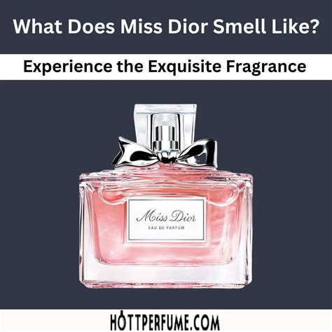 dior lady dior small perfum|what does miss Dior smell like.